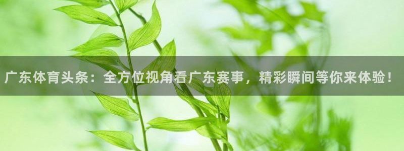 9255tv直播nba在线观看：广东体育头条：全方位视角看广东赛事，精彩瞬间等你来体验！