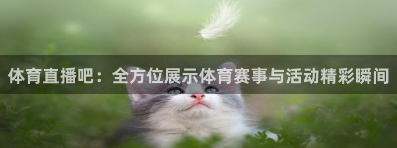 9255tv直播nba在线直播：体育直播吧：全方位展示体育赛事与活动精彩瞬间