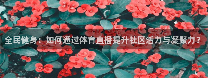 9255tv直播nba在线直播：全民健身：如何通过体育直播提升社区活力与凝聚力？