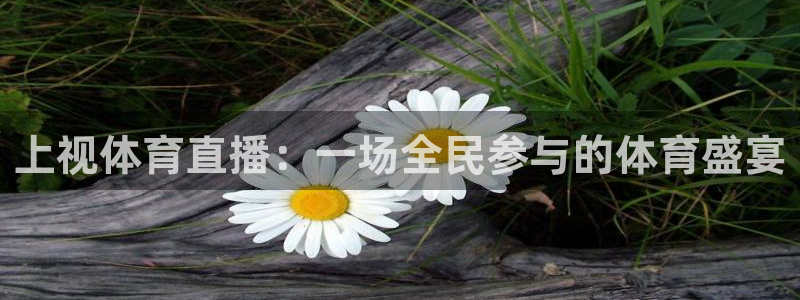 9255tv直播nba在线观看：上视体育直播：一场全民参与的体育盛宴