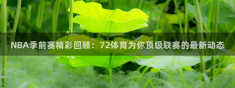 9255tv直播nba在线观看：NBA季前赛精彩回顾：72体育为你顶级联赛的最新动态
