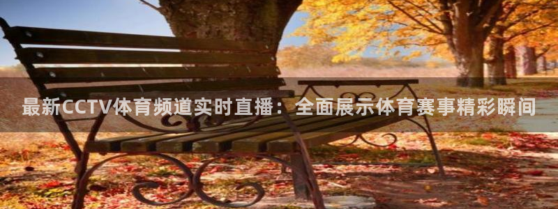 9255tv直播无插件nba：最新CCTV体育频道实时直播：全面展示体育赛事精彩瞬间